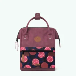 Adventurer Rucksack S Delhi